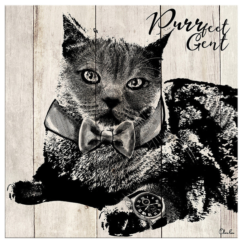 Ready2HangArt 'Purrfect Gent' Wrapped Canvas Cat Wall Art, 20"x20"
