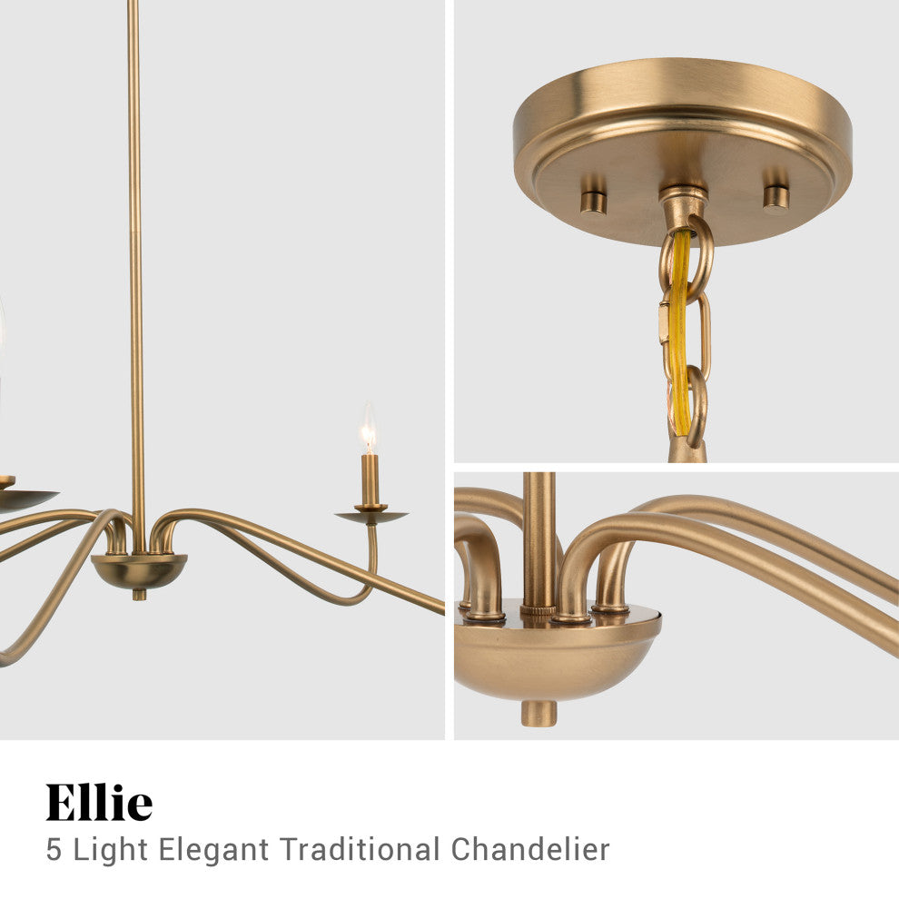 5-Light Elegant Traditional Chandelier