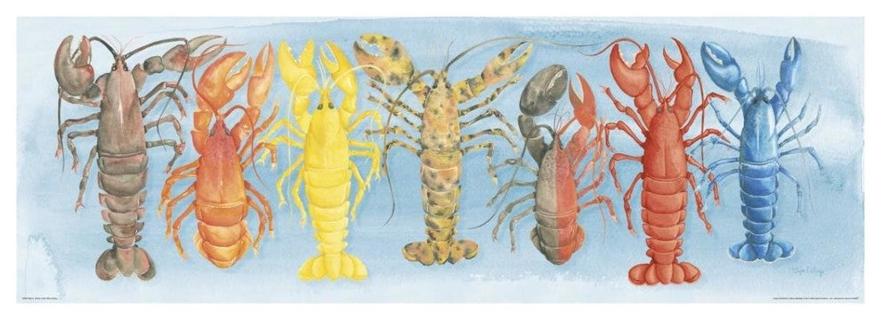 "A Rare Catch Red Lobster" Digital Paper Print by Elyse DeNeige, 38"x14"