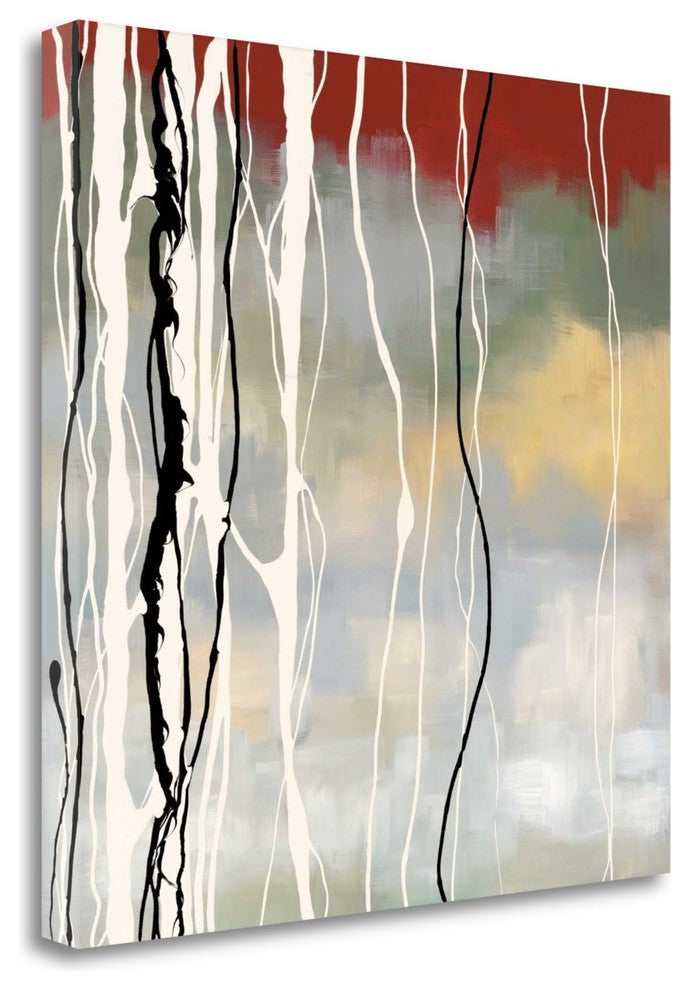 "Silver Birch II" By Laurie Maitland, Giclee Print on Gallery Wrap Canvas