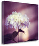 "Regal" By Carolyn Cochrane, Giclee Print on Gallery Wrap Canvas, Ready to Hang