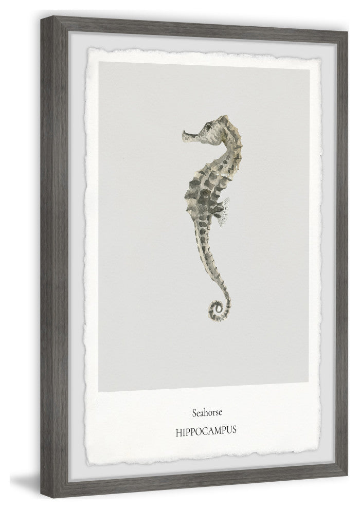 "The Hippocampus" Framed Painting Print, 8x12