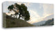 "Oak Tree - 13" By Alan Blaustein, Giclee Print on Gallery Wrap Canvas
