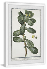 "The Foliage" Framed Painting Print, 12"x18"