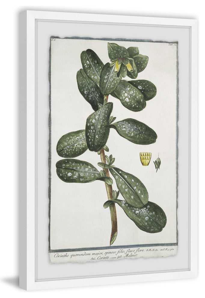 "The Foliage" Framed Painting Print, 12"x18"