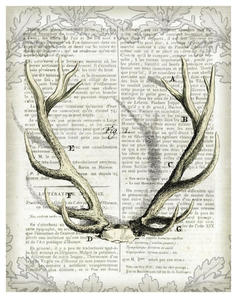 "Regal Antlers on Newsprint I" Digital Paper Print by Sue Schlabach, 18"x22"