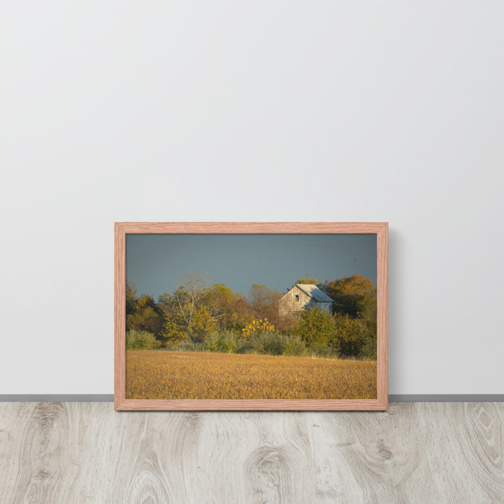 Abandoned Barn In The Trees Framed Photo Paper Wall Art Prints, Red Oak, 12" X 18"