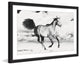 Marmont Hill, "Horse Dance" Framed Painting Print, 24x16