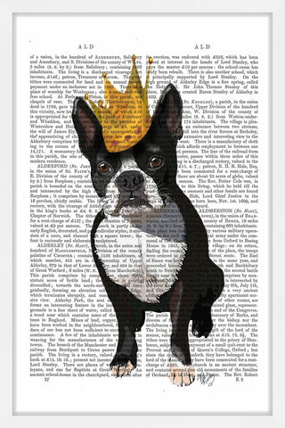 "Boston Terrier Crown" Framed Painting Print, 30"x45"