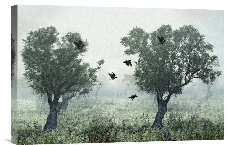 "Crows In The Mist" Stretched Canvas Giclee by S. Amer, 18x12"