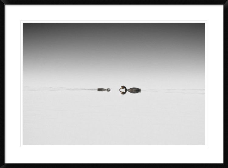 "Meeting" Framed Digital Print by Benny Pettersson, 38"x28"