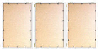 Don't Touch Me Triptych, Set of 3, 30x45 Panels