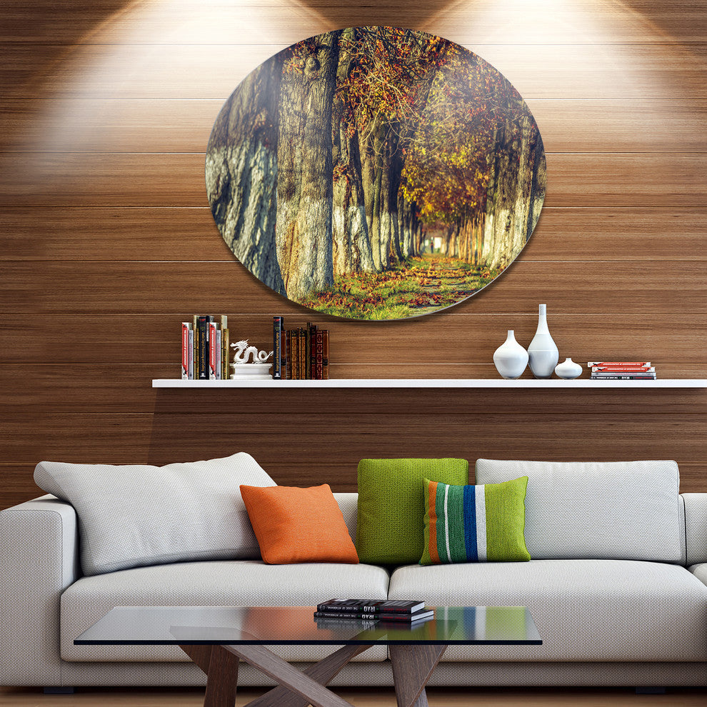 Colorful And Serene Autumn Forest, Modern Forest Round Wall Art, 11"