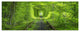 Forest around Rail Way Tunnel, Landscape Canvas Art Print, 70"x28", 6 Panels