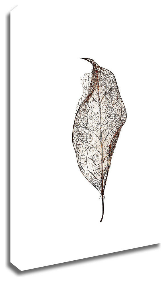 Leaf by Design Fabrikken, Print on Canvas, 20"x28"