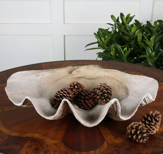 Uttermost 19800 Clam Decorative Bowls - Antique White