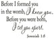 VWAQ Before I formed you in the womb I knew you. Vinyl Wall Decal