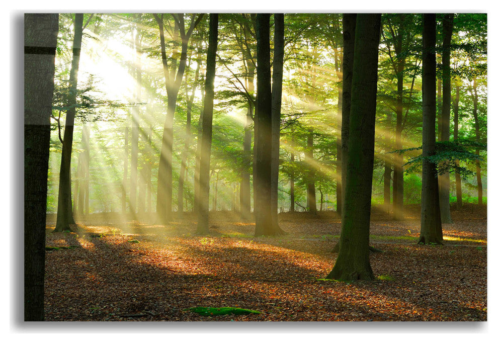 Epic Art 'Rays of Light,' Acrylic Glass Wall Art, 16"x12"