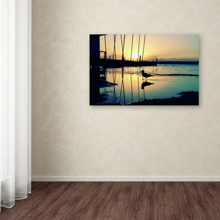 'Lonely at Sunset' Canvas Art by Beata Czyzowska Young