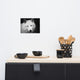 Black and White Portrait of White Wolf In The Forest Loose Wall Art Print, 8" X 10"