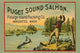 Puget Sound Salmon - On the Fly - Gallery Wrapped Canvas Art 28" x 42"
