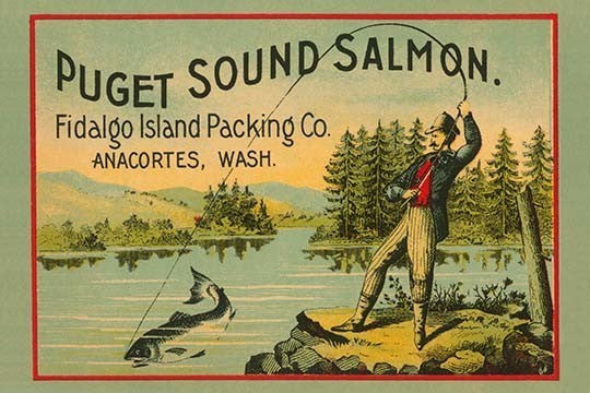 Puget Sound Salmon - On the Fly - Gallery Wrapped Canvas Art 28" x 42"