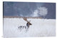 "Fallow Deer In The Frozen Winter Landscape" Canvas by Allan Wallberg, 30x20"