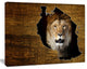 Tanzania Wildlife Map Design, Abstract Canvas Artwork, 20"x12"