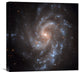 "NGC 5584" Stretched Canvas Giclee by NASA, 20"x20"