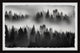 "The Fog Always Lifts" Framed Painting Print, 12x8