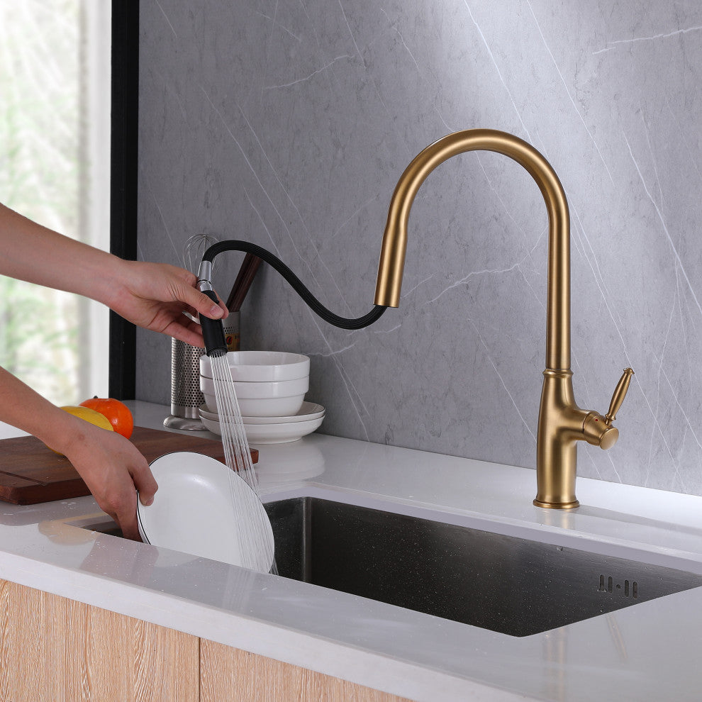 Dual-Function Pull Out Kitchen Faucet With Single Handle and Swivel Spout