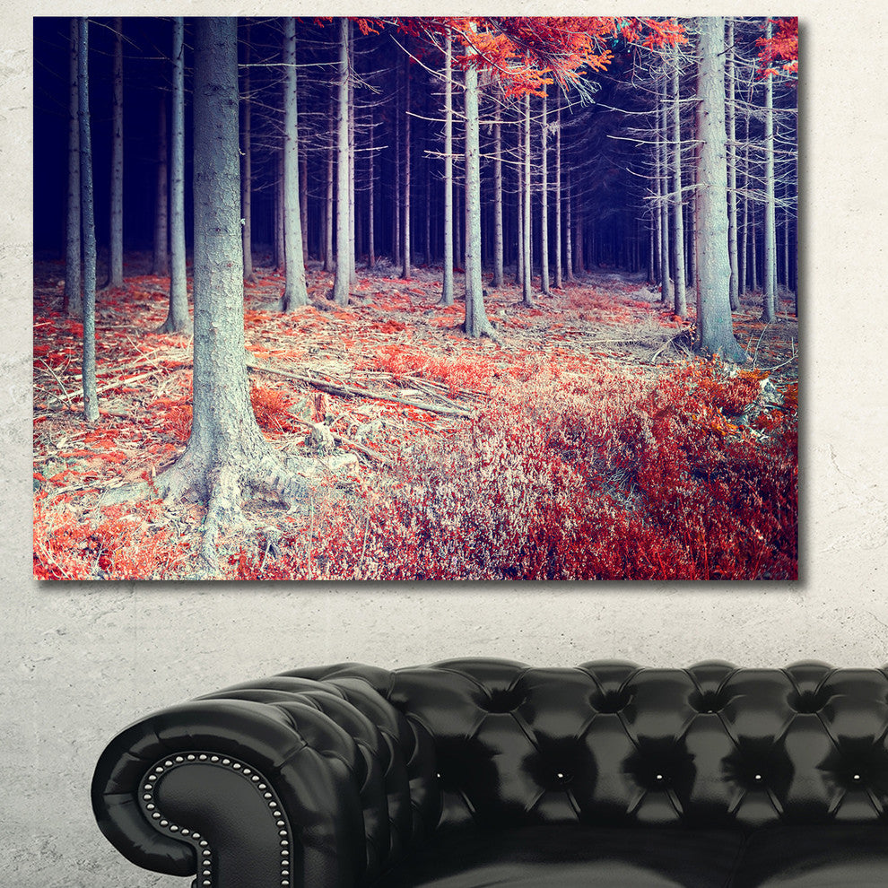 Beautiful Fall Forest Panorama, Landscape Canvas Art Print, 40"x30"