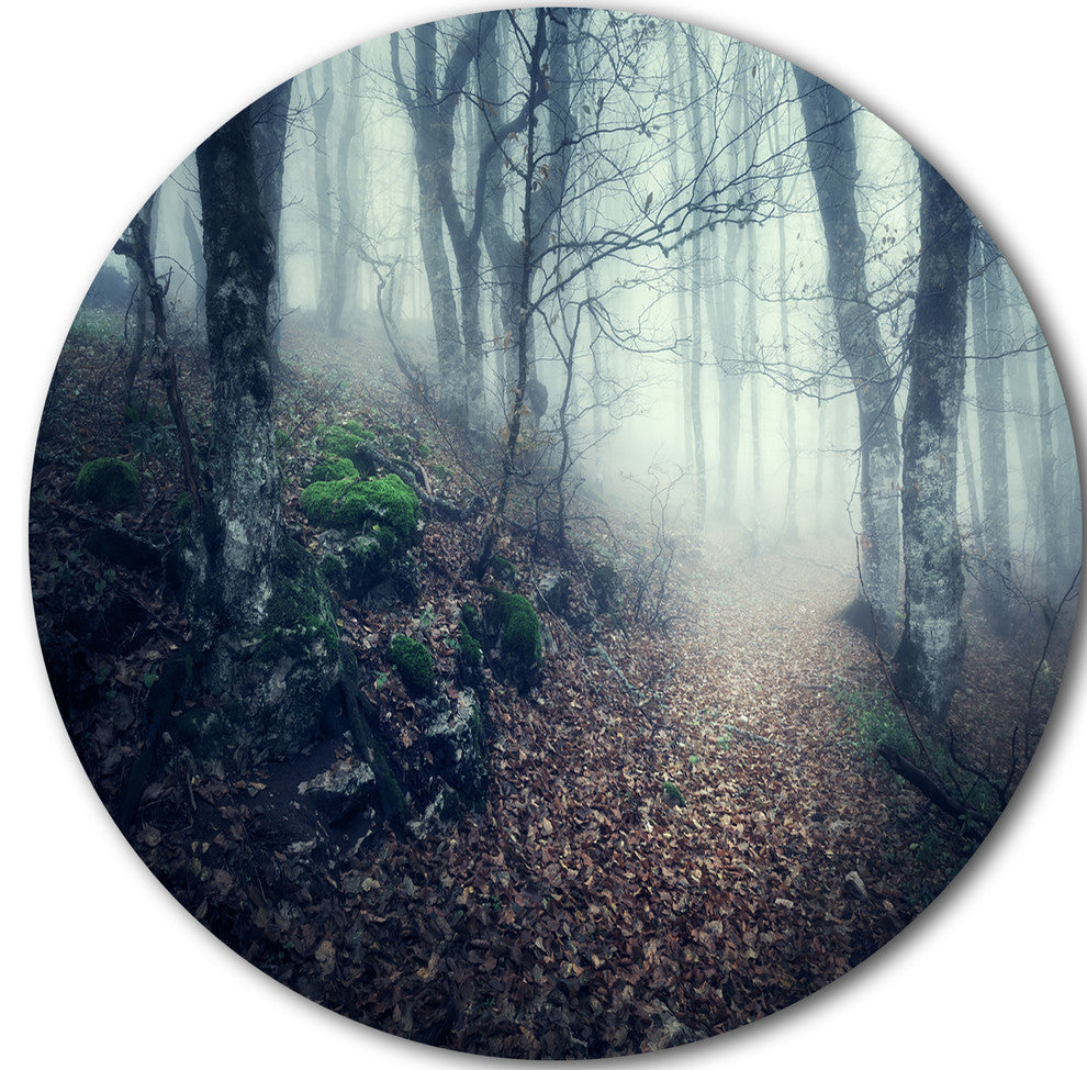 Old Style Path In Forest, Landscape Photo Disc Metal Artwork, 23"