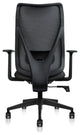 Ergonomic Office Desk Chair With Adjustable Lumbar High Mesh Back, Black