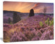Blooming Heather at Dawn Panorama, Landscape Canvas Art Print, 60x40