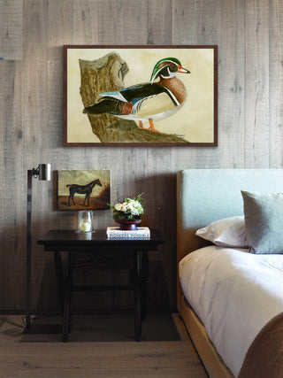 "Woodduck" Framed Painting Print, 30"x20"