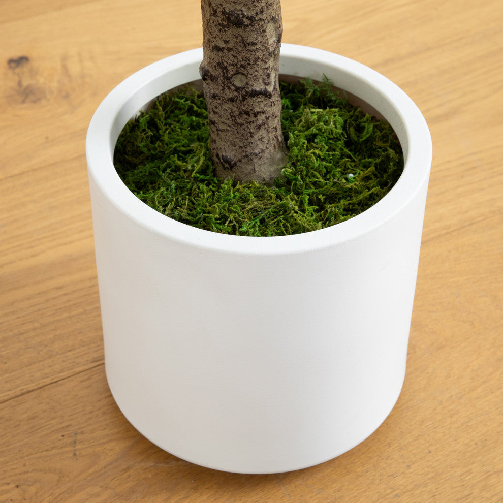 6ft. Artificial Minimalist Jacaranda Tree, White Decorative Planter
