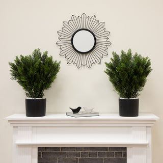 Lifestyle scene showing two potted trees in a decor setting.