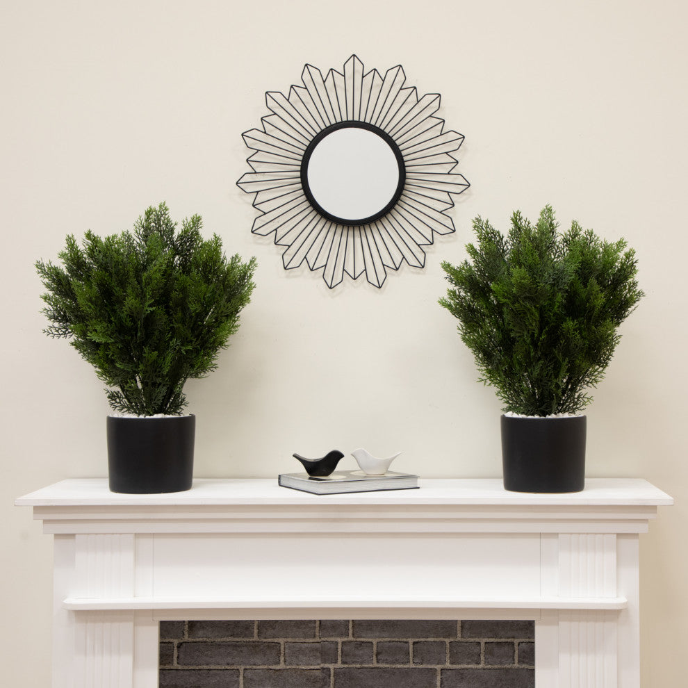 Lifestyle scene showing two potted trees in a decor setting.