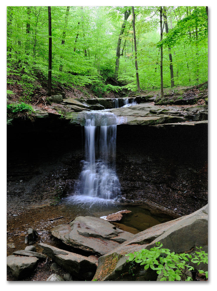 'Blue Hen Falls' Canvas Art by Kurt Shaffer