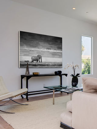 "Elephant" UV Ink Print on White Wood, 45"x30"