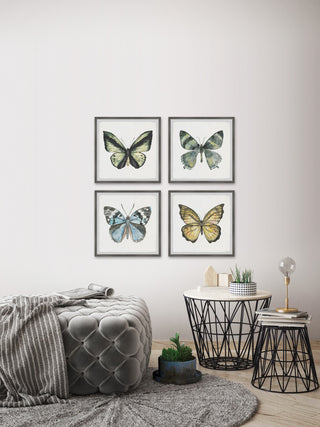 Fly Like a Butterfly Quadriptych, Set of 4, 18x18 Panels