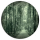 Road In Dark Autumn Forest, Modern Forest Round Wall Art, 11"