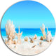 Seashells On Tropical Beach, Seashore Photo Round Metal Wall Art, 38"