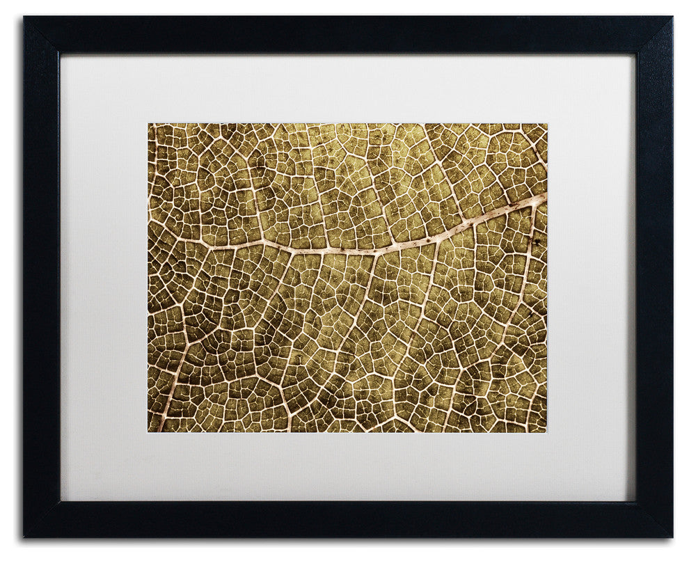 Cora Niele ''Sepia Leaf Texture'' Matted Framed Art