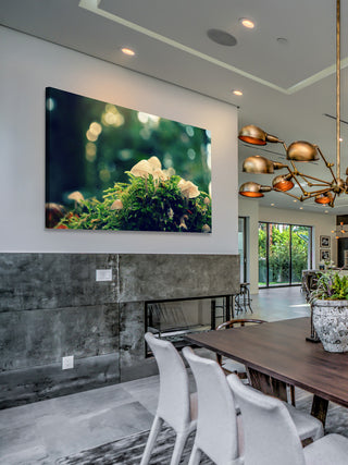 "Nonsense" Painting Print on Wrapped Canvas