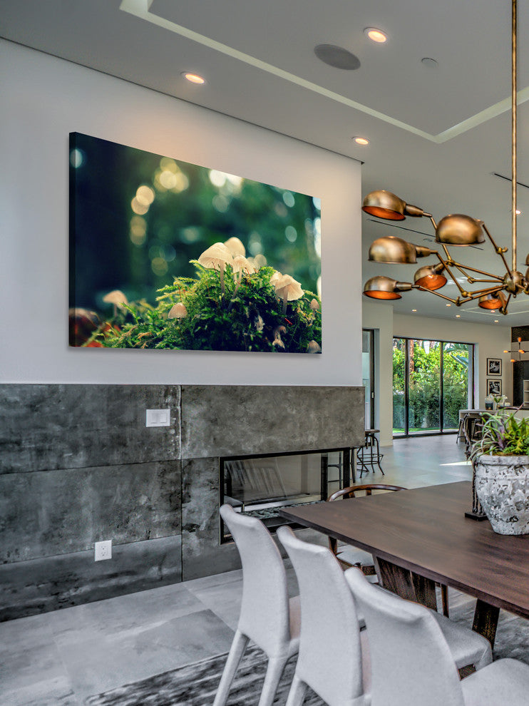 "Nonsense" Painting Print on Wrapped Canvas