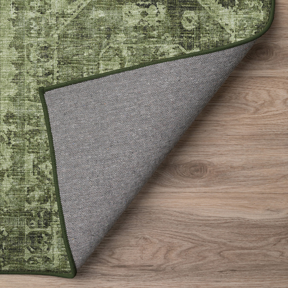 Aberdeen AB2 Cactus 2'3" x 7'6" Runner Rug