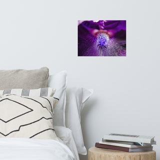 Eye of Iris Nature Photography, Floral Unframed Wall Art Print, 12" X 16"