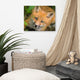 Young Red Fox Face Animal Wildlife Nature Photograph Canvas Wall Art Prints, 16" X 20"